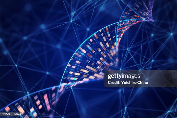 genome analysis dna molecular structure and network - dna bildbanksfoton och bilder