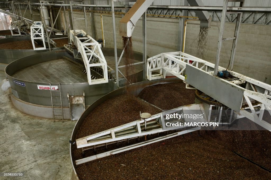 ECUADOR-AGRICULTURE-FARMING-TRADE-DRUGS-CRIME-CACAO