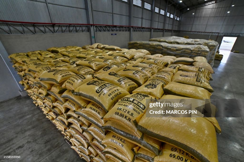 ECUADOR-AGRICULTURE-FARMING-TRADE-DRUGS-CRIME-CACAO