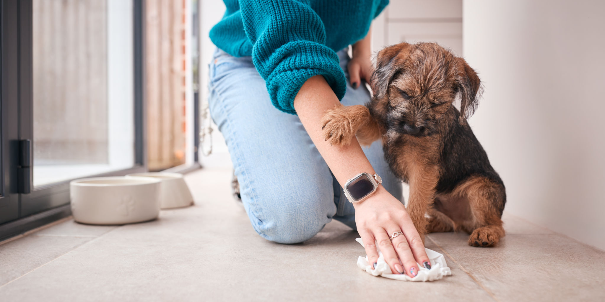 dog owners cleaning