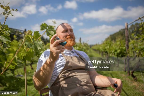 a redhead wine farmer using an inhaler in the netherlands as an example of small business - organic farm stock pictures, royalty-free photos & images