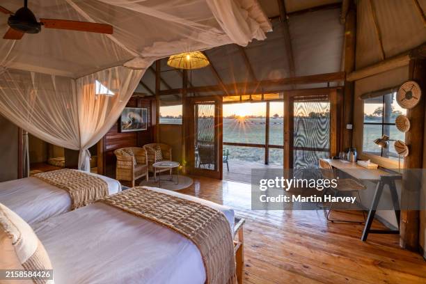 beautiful bedroom overlooking a waterhole with animals drinking at sunset. luxury tented safari lodge, botswana - safari lodge stock pictures, royalty-free photos & images