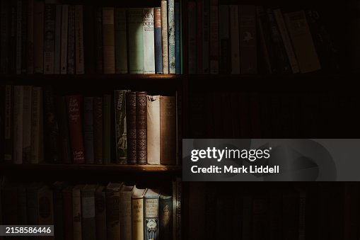 Vintage Bookshelf with Old Bound, Sunlit Books Vintage Bookshelf with Old Bound, Sunlit Books