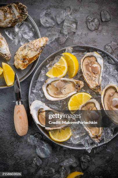 top view of fresh and raw pacific oysters are served with lemon in the tray with ice and oyster knife - oyster stock pictures, royalty-free photos & images