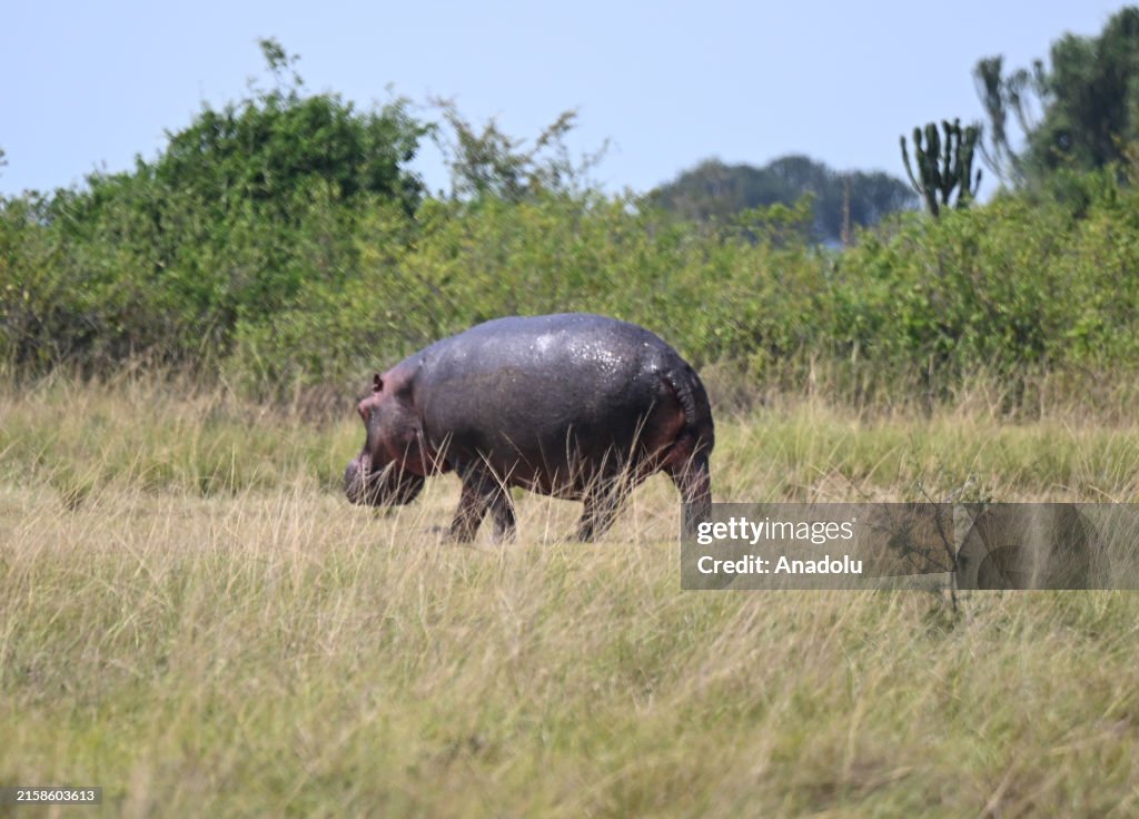 Wildlife parks of Uganda