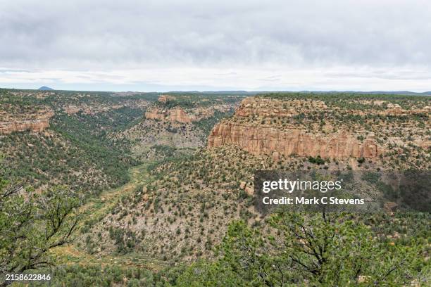 any excuse to visit mesa verde national park - colorado plateau stock pictures, royalty-free photos & images