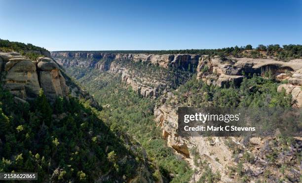 guess viewings in mesa verde national park - colorado plateau stock pictures, royalty-free photos & images