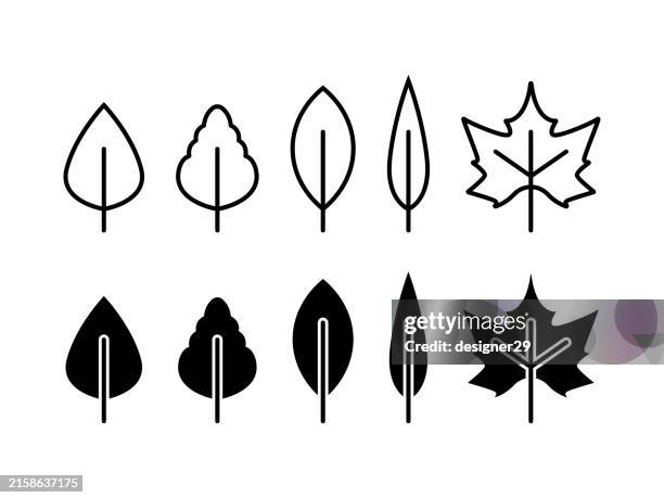 leaf icon set vector design. - mint leave stock illustrations