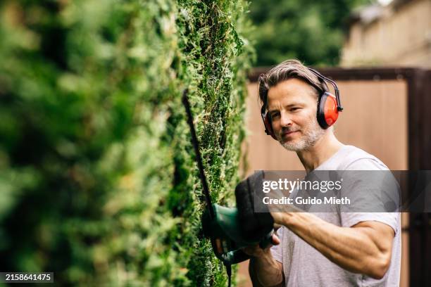 man is trimming a hedge in his own garden. - landscaped stock pictures, royalty-free photos & images