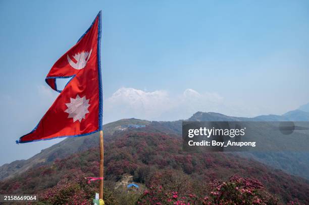 nepal flag blowing by the wind with rhododendron forest in the background. - nepal flag stock pictures, royalty-free photos & images