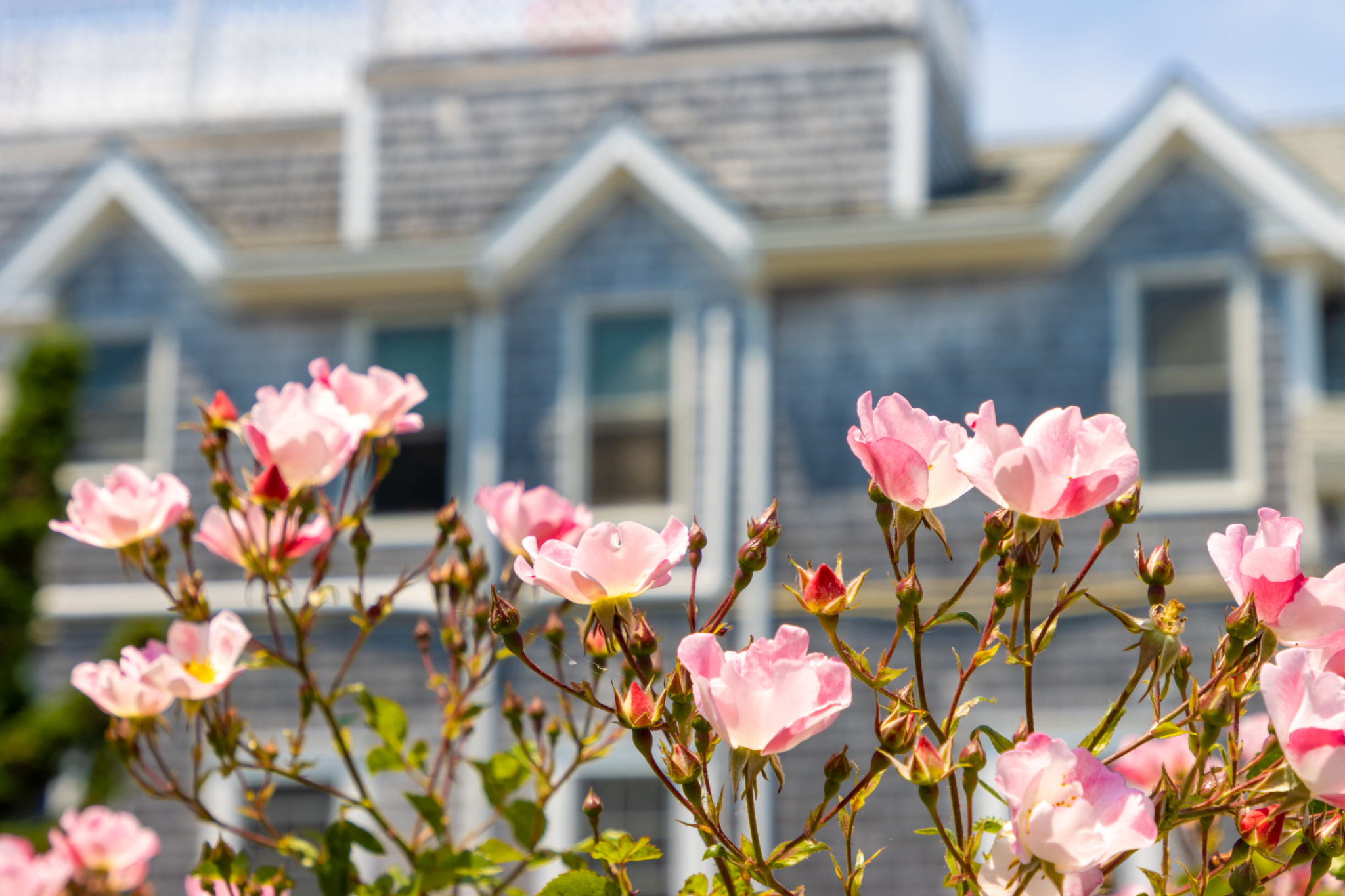 spring houses