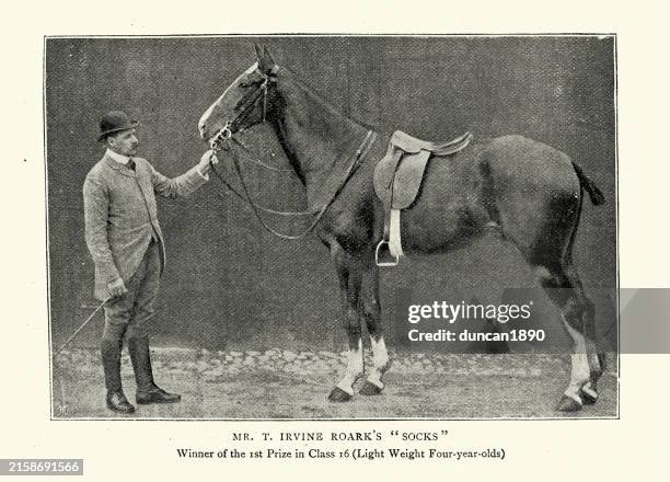 horse with saddle, royal dublin horse show, 1895, 19th century, equestrian history, vintage photograph - saddle stock illustrations
