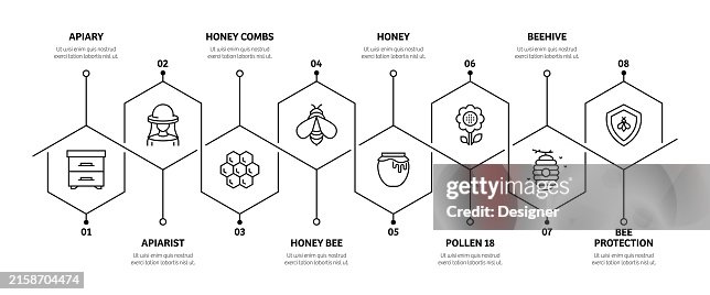 Apiary Related Process Infographic Template. Process Timeline Chart. Workflow Layout with Linear Icons Apiary Related Process Infographic Template. Process Timeline Chart. Workflow Layout with Linear Icons