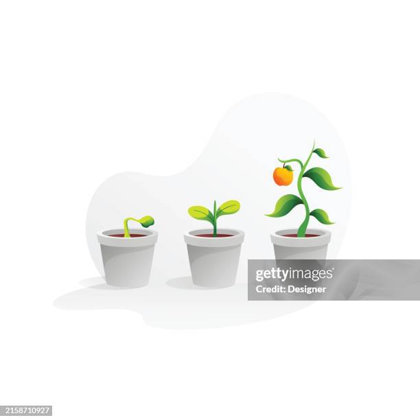 plants at various growth stages concept vector illustration - stages of plant growth stock illustrations