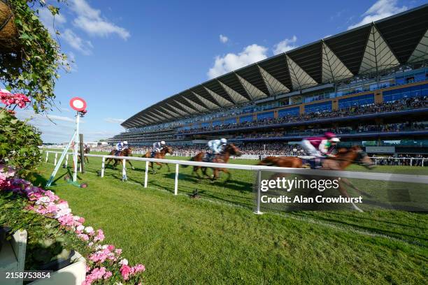 Runners pass the the grandstand with a circuit to go in The Queen Alexandra Stakes on day five during Royal Ascot 2024 at Ascot Racecourse on June...