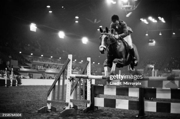 Pessoa Ridden 287 Espartaco Stock Photos, High-Res Pictures, and Images - Getty Images