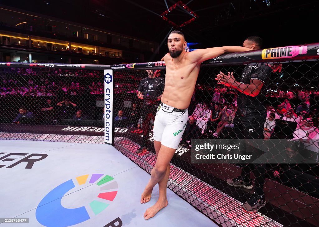 UFC Fight Night: Walker v Oezdemir