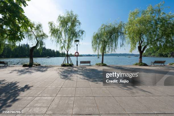 road by west lake in hangzhou - lakeshore stock pictures, royalty-free photos & images