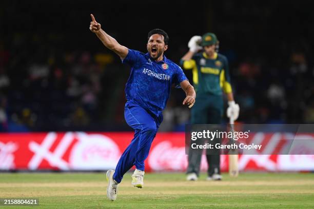 Gulbadin Naib of Afghanistan celebrates after bowling Pat Cummins of Australia during the ICC Men's T20 Cricket World Cup West Indies & USA 2024...