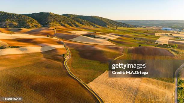 aerial view of an rolling plane at dusk with several paths, fallow plots, cereal plots about to be mown, and sunflowers emerging. - castille et leon photos et images de collection