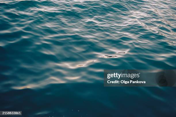 water texture - ocean surface texture stock pictures, royalty-free photos & images