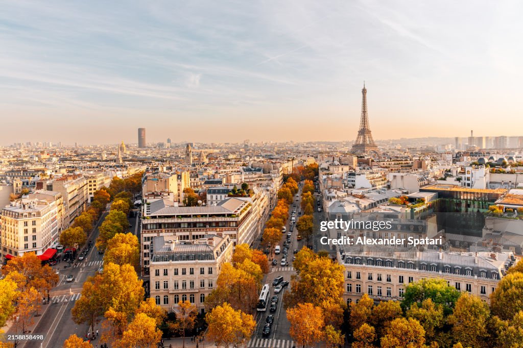 Paris skyline with Eiffel Tower and trees in autumn leaf colours, high angle view, Paris, France