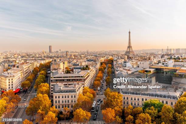 paris skyline with eiffel tower and trees in autumn leaf colours, high angle view, paris, france - france photos et images de collection