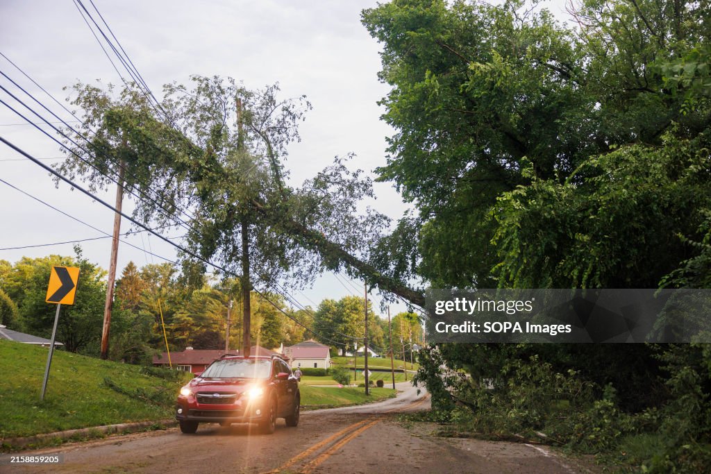 A car seen moving past a tree and power lines that stretched...