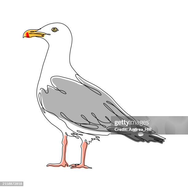 seagull continuous line drawing with editable stroke and color elements - seagull stock illustrations
