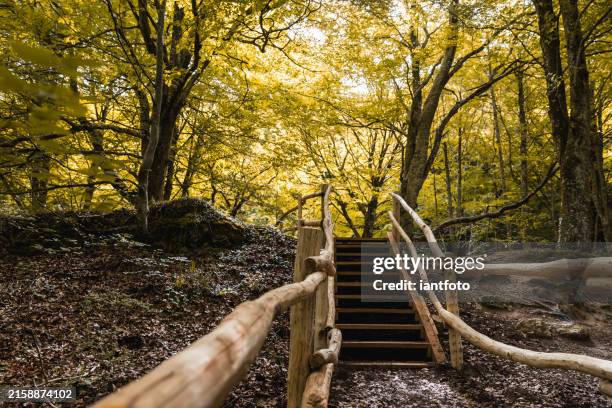 Navarre Library 87 Navarre Library Stock Photos, High-Res Pictures, and Images - Getty ...