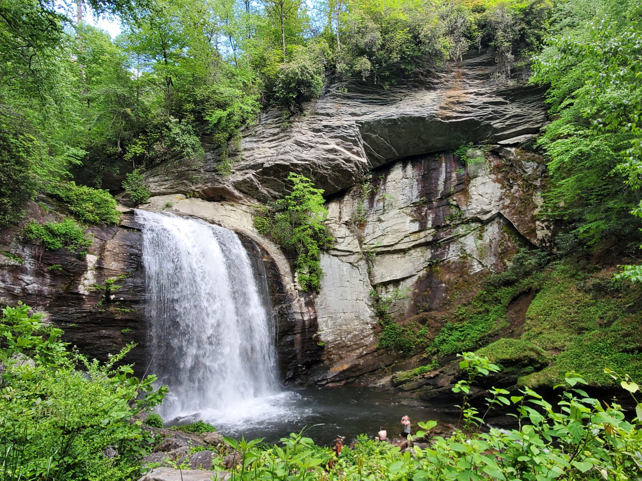 waterfall forest