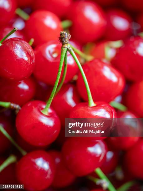 sour cherry - sour cherry stock pictures, royalty-free photos & images