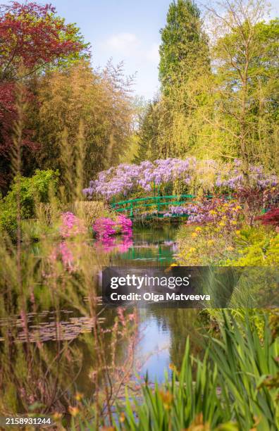 giverny monet gardens, bridge and pond on bright spring day - waterlelie stockfoto's en -beelden