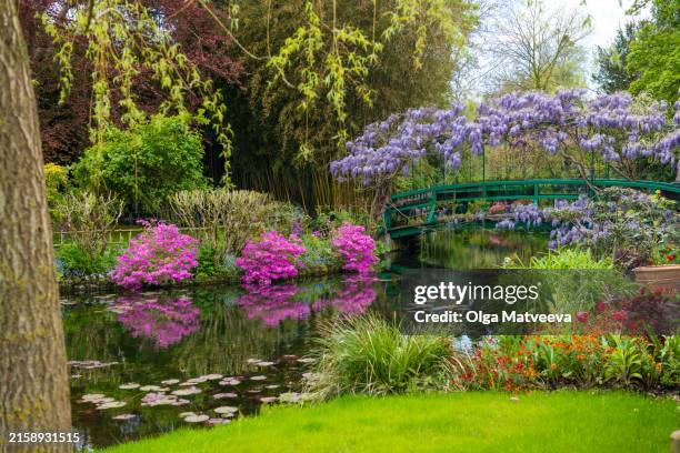 giverny monet gardens, bridge and pond on bright spring day - giverny pont photos et images de collection
