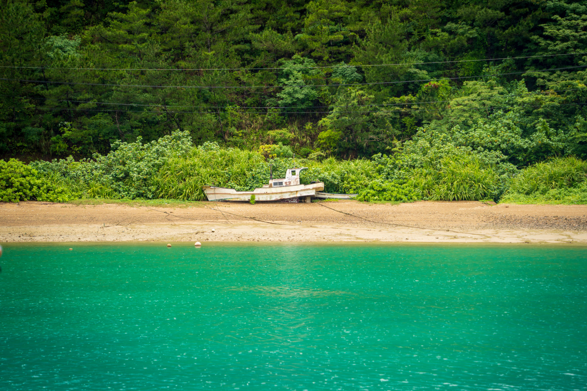 amami island fishing