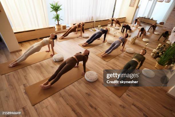vista sopra di donne atletiche che si esercitano durante la lezione di yoga. - metodo pilates foto e immagini stock