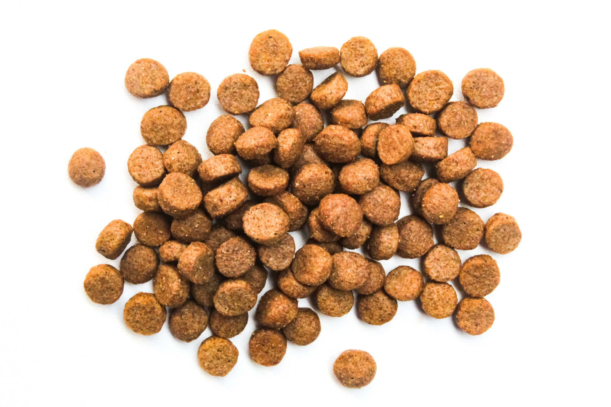 grain free dog food