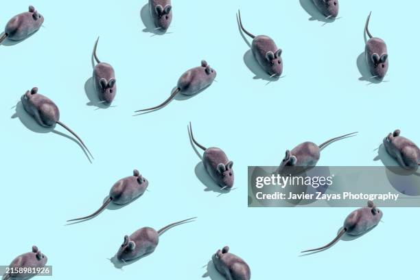 some toy mice isolated on blue background - rat stock pictures, royalty-free photos & images