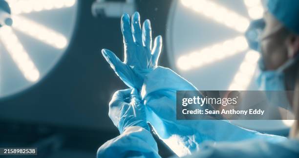 hands, gloves and surgeon in theater for surgery, preparation and medical procedure in hospital. healthcare, scrubs and professional person in operating room for protection, safety and ppe in clinic - surgical glove stock pictures, royalty-free photos & images