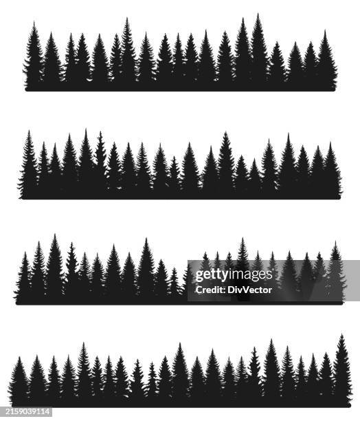 fir trees vector set - cedar tree stock illustrations