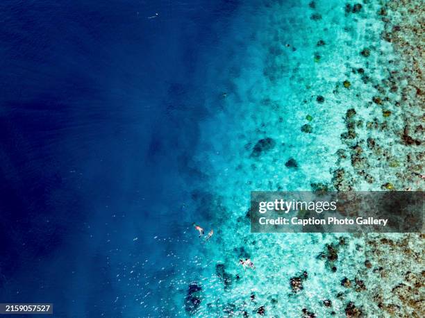 Shallow View 900 Shallow Water Top View Stock Photos, High-Res Pictures, and Images ...