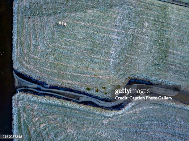 aerial view of serpentine river meandering through a textured landscape - land art stock pictures, royalty-free photos & images