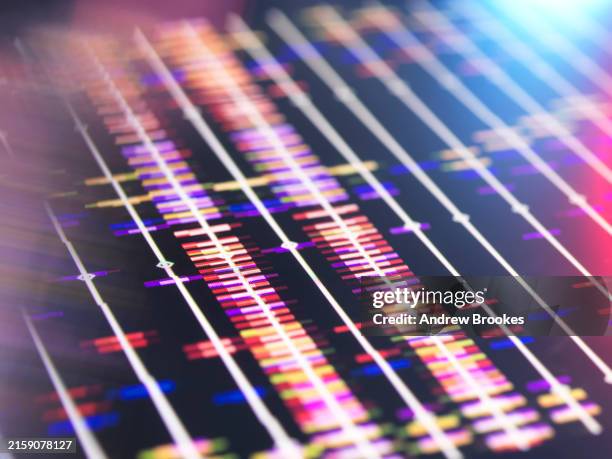dna profile on screen in the lab - dna test stock pictures, royalty-free photos & images