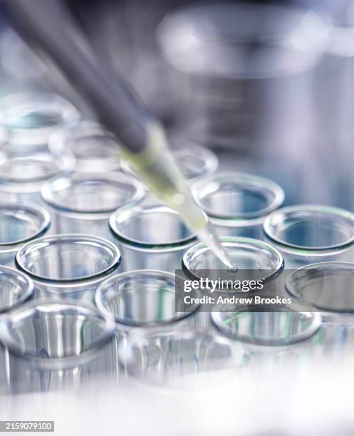 Lab Sample Assay 265 Lab Assay Stock Photos, High-Res Pictures, and Images - Getty Images