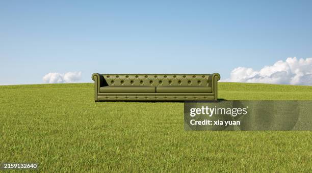 green sofa in grass - divã sofá imagens e fotografias de stock