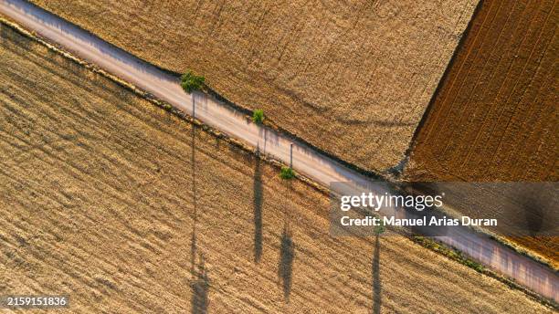 aerial view of a rural road with fields prepared for sowing. - sembrar fotografías e imágenes de stock