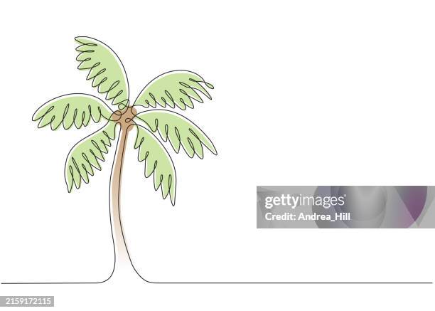 palm tree single line drawing with editable stroke and color elements - tree line drawing stock illustrations