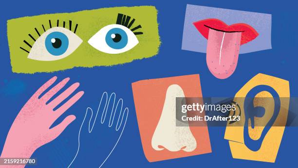 sensory perception - stimulus check stock illustrations