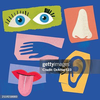 Sensory Perception Sensory Perception