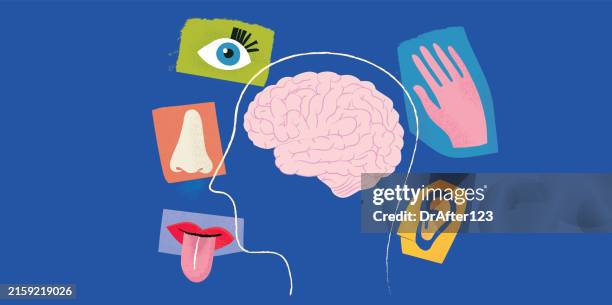 sensory perception - taste receptors stock illustrations